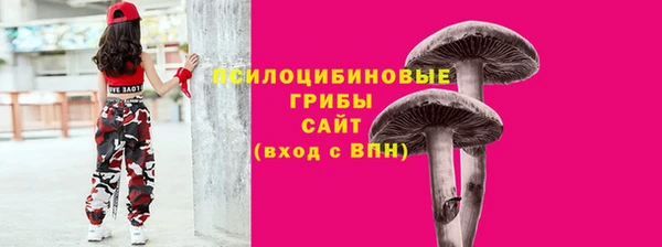 стафф Волоколамск