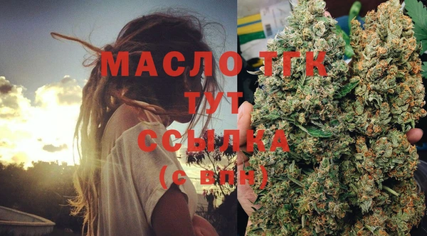 тгк Вяземский