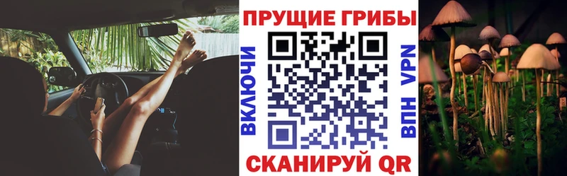 Галлюциногенные грибы мухоморы Инта